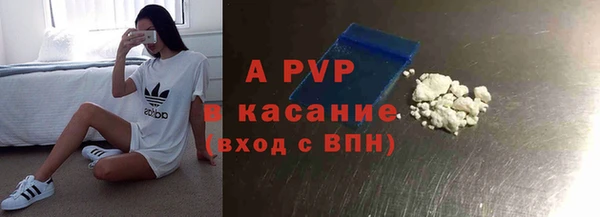 стаф Лихославль