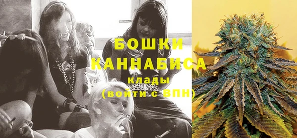 индика Анжеро-Судженск