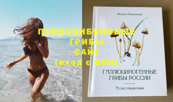 шишки Лиски