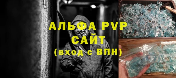 индика Анжеро-Судженск