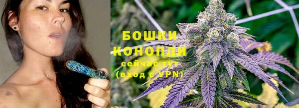 прущая мука Анива